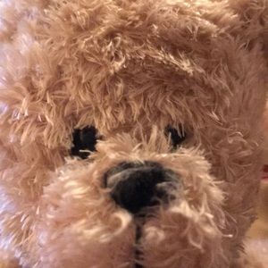 Meet your Posher, Brenda